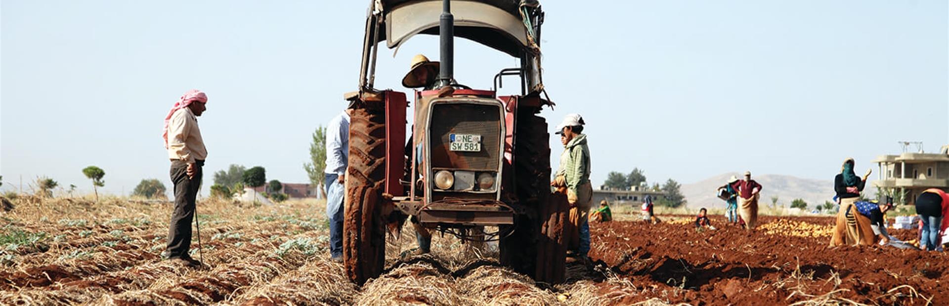 الزراعة‭ ‬والصناعة‭ ‬يشكوان‭ ‬نقص‭ ‬ العمالة‭ ‬السورية‭ ‬المتخصّصة