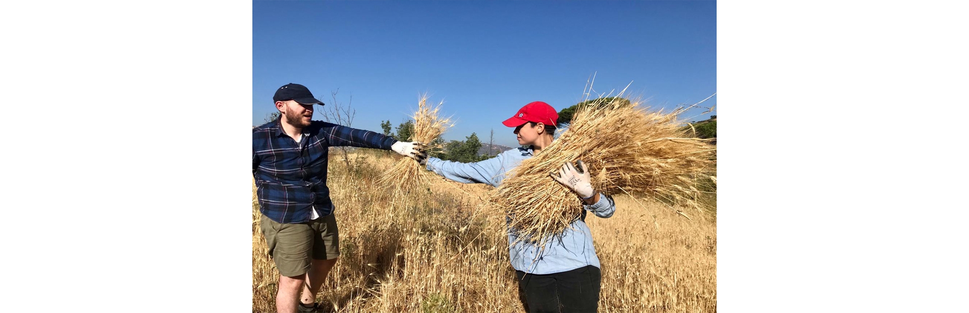 Feeding Lebanon: Initiatives Supporting Community Growing and Farmers