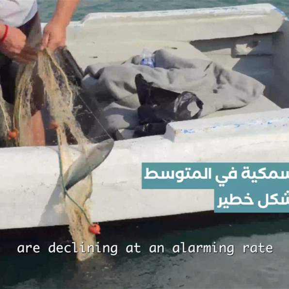 البحر يفرغ من الأسماك.. كيف يهدد التغير المناخي معيشة الصيادين؟ تقرير نور رمّال