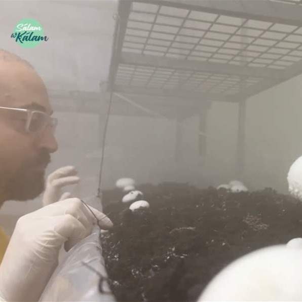 من "تفل القهوة" إلى غذاء مستدام.. حكاية ابتكار لبناني أخضر - تقرير نور يزبك