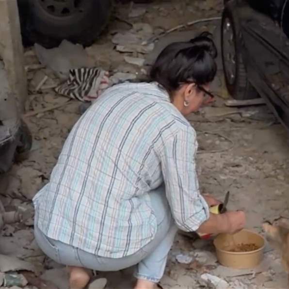 الرّفق بالحيوان: مسؤوليّة غائبة - تقرير تريسي -كريست أبو منصف وكريستينا أبي حبيب