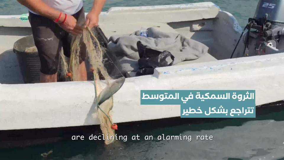 البحر يفرغ من الأسماك.. كيف يهدد التغير المناخي معيشة الصيادين؟ تقرير نور رمّال