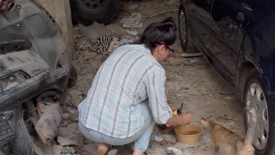 الرّفق بالحيوان: مسؤوليّة غائبة - تقرير تريسي -كريست أبو منصف وكريستينا أبي حبيب